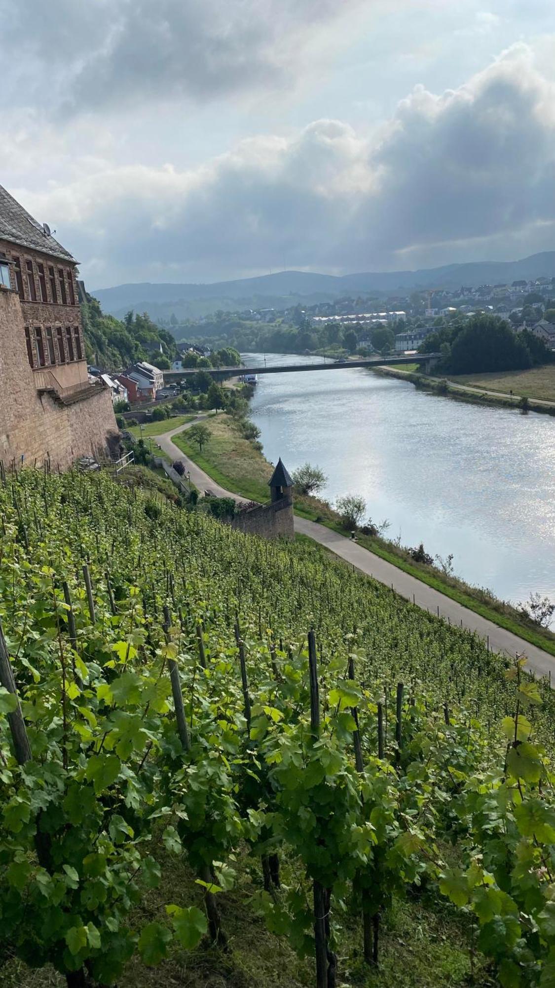 Weingut Dr Wagner Villa Saarburg Exterior photo